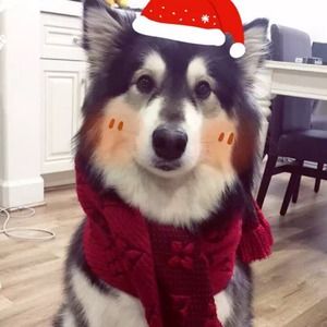 Meet your Posher, Li